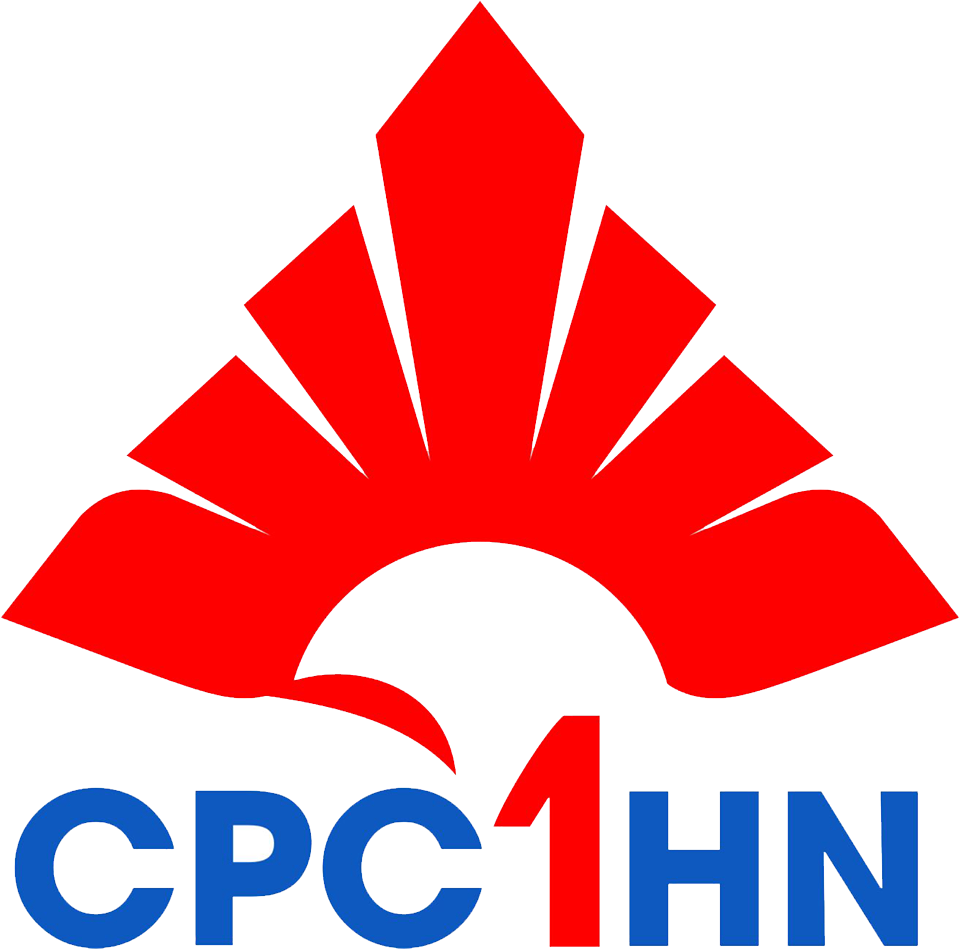 lĩnh vực hoạt động